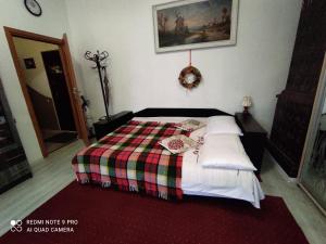 een slaapkamer met een bed met een geruite deken bij Квартира в центрі міста in Lviv