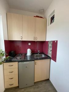 Kuchyň nebo kuchyňský kout v ubytování Armine's B&B