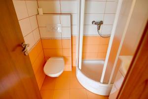 La salle de bains est pourvue d'une douche et de toilettes. dans l'établissement Dalmacija, à Omiš
