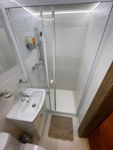 a bathroom with a shower and a sink at Vila Mudroň - Studio in Dolný Smokovec