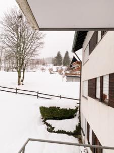 Gemütliche Ferienwohnung - Mitten im Schwarzwald през зимата