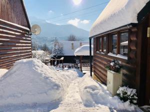 特尔乔夫Andrea- neakceptujeme mladé partie的相册照片