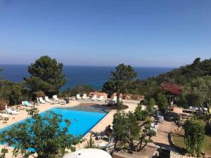 a view of a swimming pool and the ocean at Le Thyreneen in Sari Solenzara