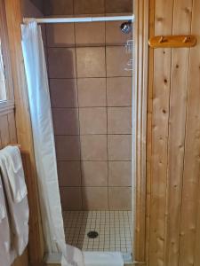 a bathroom with a shower stall and a toilet at Chalets de l'Anse Ste Helene in Maria
