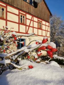 利希滕海恩Urlaub im 200 Jahre alten Fachwerkhaus的房子旁边一根树枝上覆盖着雪。