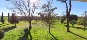a view of a field with trees and grass at Prato Smeraldo Apartment in Rome
