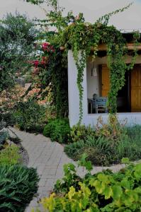 A garden outside Pambelos Lodge
