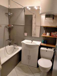 ein Badezimmer mit einem WC, einem Waschbecken und einer Badewanne in der Unterkunft Le Saint Antoine in Saint-Jean-de-Maurienne