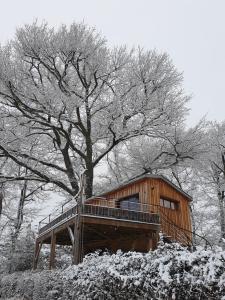 une cabane en bois avec un arbre dans la neige dans l'établissement La cabane perchée du faucon, à Fréchou-Fréchet
