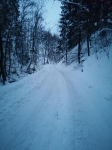 een met sneeuw bedekte weg met bomen aan de zijkant bij Zakątek DoriMaks in Zawoja