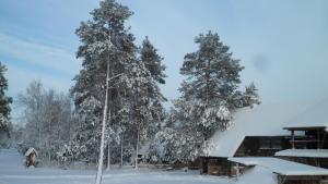 a group of trees covered in snow next to a building at Viruna Farm in Kiraste