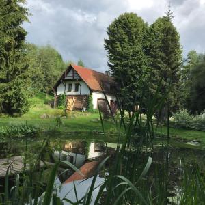 una casa con un reflejo en un estanque en Górna79, en Jugowice