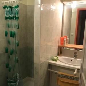 bagno con doccia e lavandino di Maison bord de Lac de Pareloup a Salles-Curan