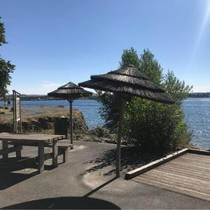 Foto dalla galleria di Maison bord de Lac de Pareloup a Salles-Curan