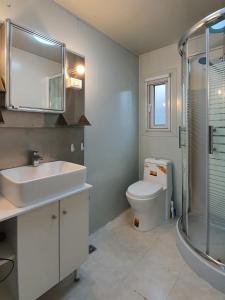 ein Badezimmer mit Waschbecken, Toilette und Dusche in der Unterkunft Studio Mangales in Santa Cruz de la Sierra + 37 Fotos