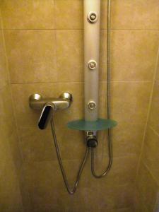 a shower stall with a shower head and a hose at Ferienappartment Allendorf in Sundern