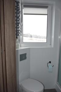 uma casa de banho com um WC e uma janela em Noclegi u Eweliny em Krajno Pierwsze