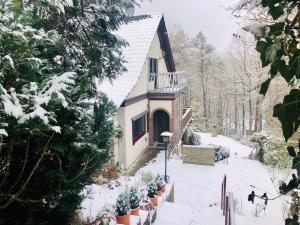 a small house in the snow with snow covered trees at Large Wuerzburg Apartment in Würzburg