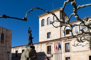 una estatua frente a un edificio con banderas en DONCELLAS, en Zamora