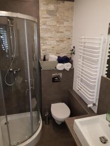 een badkamer met een douche, een toilet en een wastafel bij Apartamenty 33 in Zakopane