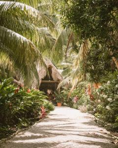 a path in a tropical garden with palm trees at Rio Hostel Buritaca in Buritaca