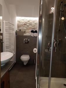 a bathroom with a shower and a toilet and a sink at Apartamenty 33 in Zakopane