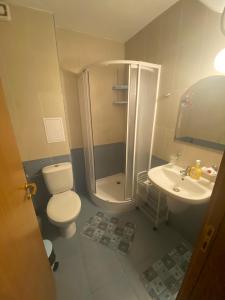 a bathroom with a shower and a toilet and a sink at Nevena Apartments in Bansko