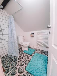 a bathroom with a toilet and blue rugs on the floor at Dream House in Buşteni