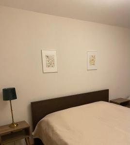 een slaapkamer met een bed en twee schilderijen aan de muur bij Bakuriani Cozy Villa #4 in Bakuriani