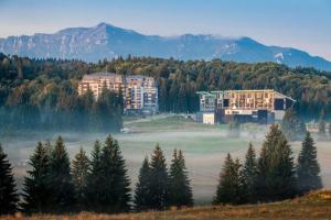 Gallery image of Luxury Silver Mountain Apartment in Poiana Brasov
