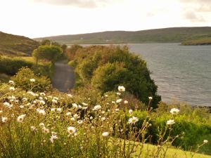 Un paisaje natural cerca of the bed and breakfast