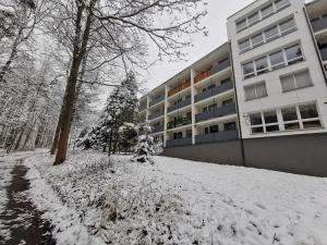 Apartament z Widokiem na Park v zime