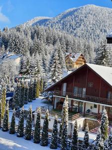 a house with snow covered trees and a mountain at Apartament Ozon Poiana Brasov in Poiana Brasov