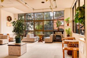 sala de estar con ventanas grandes y chimenea en Hotel La Montagne Furuhata, en Hakuba