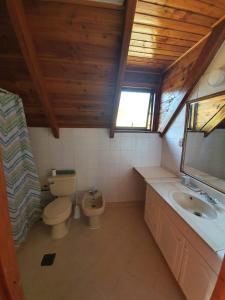 La salle de bains est pourvue de toilettes, d'un lavabo et d'un miroir. dans l'établissement cabaña los robles, à Licán Ray