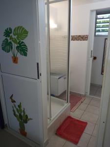 a bathroom with a shower with a glass door at Gîte Muskad in Sainte-Anne