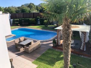 a palm tree sitting next to a swimming pool at Luxury Chaves Village in Farroupo