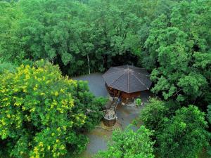 Zahrada ubytování Hidden Treehouse in Khao Yai (8 PAX)
