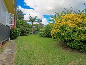 a yard with yellow flowers next to a house at Culburra Sands in Culburra Beach