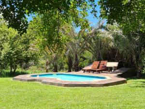 einen Pool mit zwei Stühlen und einer Bank im Gras in der Unterkunft Ndlovukazi River Chalets in Pongola