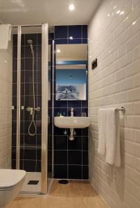 une salle de bain avec douche, lavabo et toilettes dans l'établissement Alameda Rooms Santiago, à Saint-Jacques-de-Compostelle