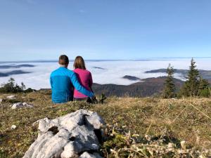 Gallery image of Ferienwohnungen Jodlbauerhof in Weyregg +57 photos