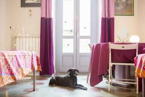 Gallery image of Casa Dani&Swing Bed&Books in Turin