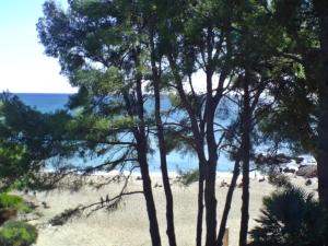 Fotografia z galérie ubytovania Doree 202 v destinácii Miami Platja