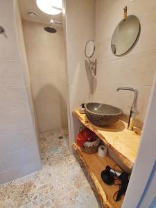een badkamer met een wastafel en een douche bij BnB Heirhuys in Visvliet