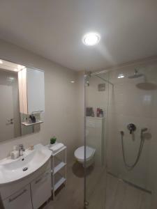 a bathroom with a shower and a sink and a toilet at Apartmant Angel Wings in Omiš