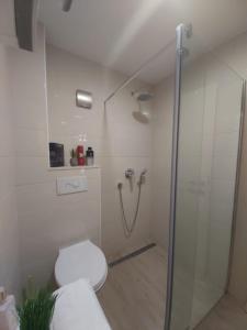 a bathroom with a shower with a toilet and a glass door at Apartmant Angel Wings in Omiš