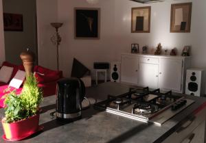 una cucina con piano cottura in soggiorno di Chez Frédéric a Tomblaine