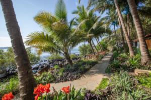 un camino que conduce a la playa con palmeras y flores en Casa Jaali en Patnem