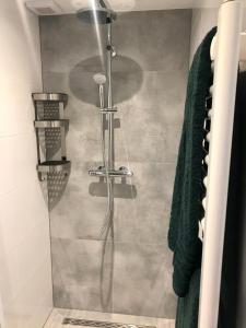 a shower with a glass door in a bathroom at Das Luxus Dünenhäuschen in Egmond aan Zee +38 photos